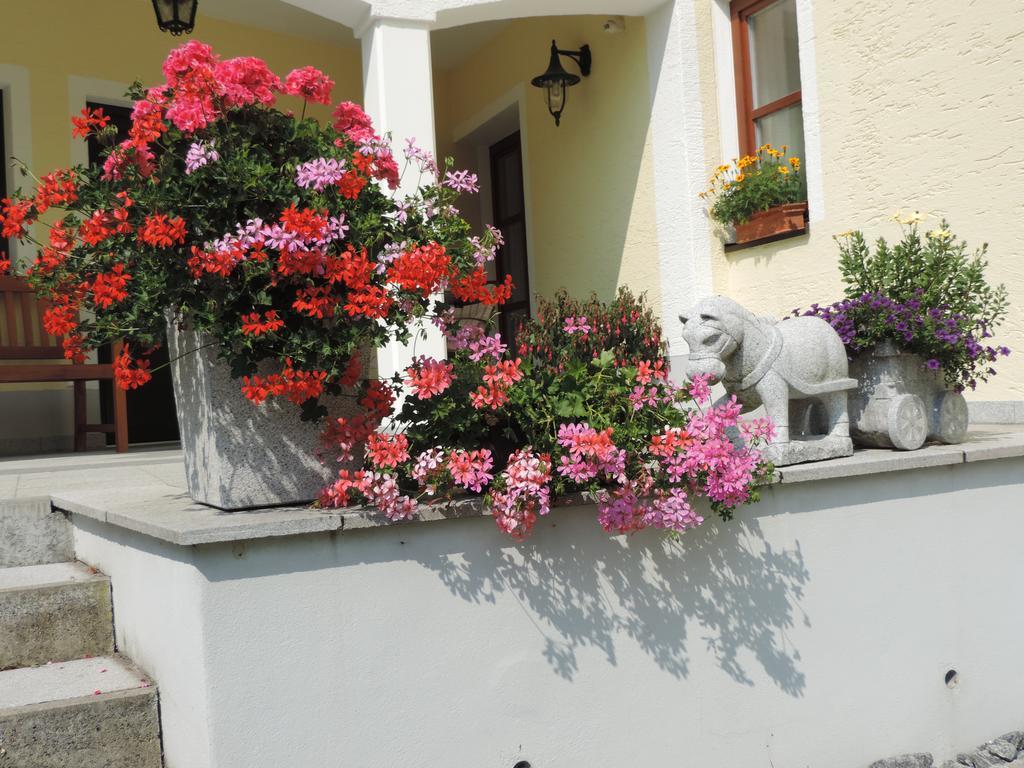 Ferienwohnung Waldoase Am Fuchsenstein Spiegelau Phòng bức ảnh