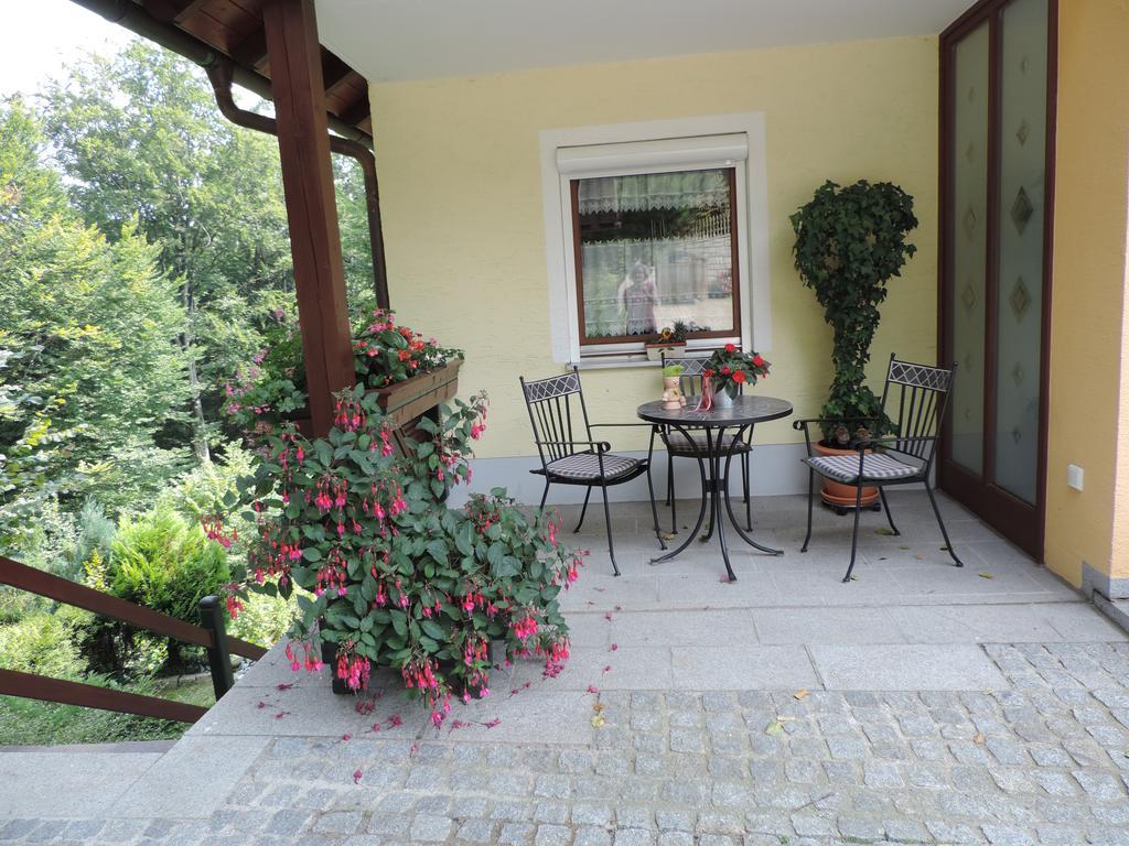 Ferienwohnung Waldoase Am Fuchsenstein Spiegelau Phòng bức ảnh